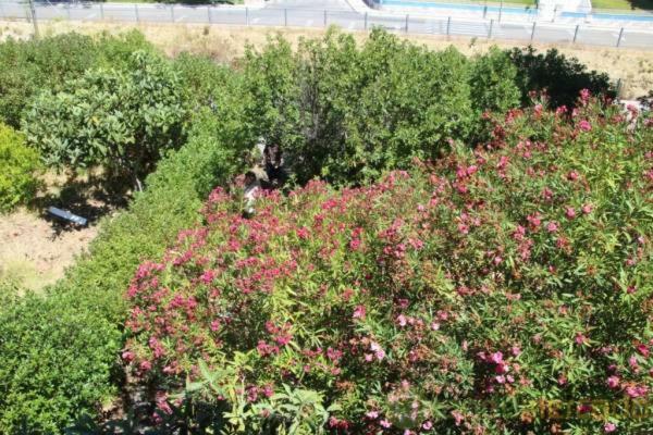 Boa Vivenda Villa Carcavelos  Eksteriør bilde